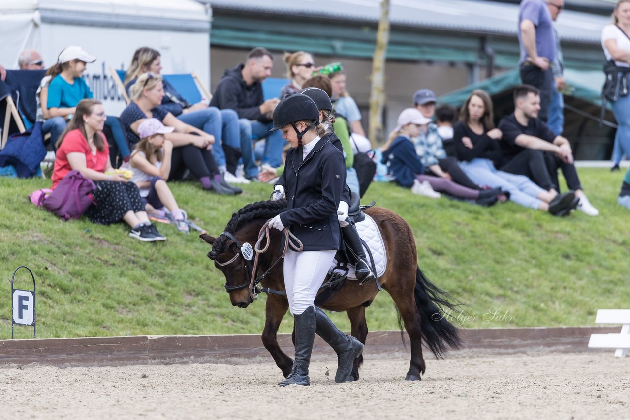 Bild 3 - Pony Akademie Turnier